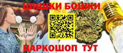 мдпв Кингисепп